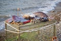 On the table are seafood: big fish, smaller fish, lobsters, mussels, oysters. The table stands on a pebble beach