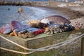 On the table are seafood: big fish, smaller fish, lobsters, mussels, oysters. The table stands on a pebble beach