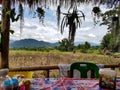 Table seat sit down rest break eat imbiss palm roof bamboo field light sun background mountain green tree chiang mai pai