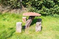 Table and seats on stumps in the forest Royalty Free Stock Photo