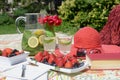 A table set in a summer garden with fresh fruit, hat, book and lemonade with a garden view