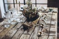 Table setting. beautifully decorated rustic table.