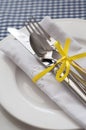 Table setting with blue checkered tablecloth and white napkin Royalty Free Stock Photo