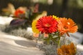 Table setting of daisies Royalty Free Stock Photo