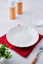 Table setting, empty white plate, red napkin, cutlery, salt and pepper shaker Royalty Free Stock Photo