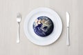 Table setting and globe