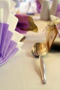 Table setting and silver spoon