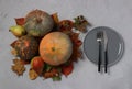 Table setting on Thanksgiving Day decorated pumpkin, viburnum, pears and colorful leaves on grey. View from above