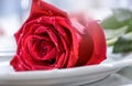 Table setting for valentines or wedding day with red roses. Romantic table setting for two with roses plates cups and cutlery Royalty Free Stock Photo