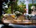 Table setting with vases with flowers and candles, chair on the background Royalty Free Stock Photo