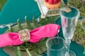 Table setting. Wedding decor in the magic forest for a loving couple. Pink and green colors. Raspberry dessert. Royalty Free Stock Photo