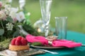 Table setting. Wedding decor in the magic forest for a loving couple. Pink and green colors. Raspberry dessert. Royalty Free Stock Photo