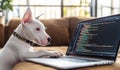 On a table, a small Jack Russell dog is utilizing a computer in a network concept setting Royalty Free Stock Photo