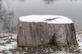 Table stump covered with snow Royalty Free Stock Photo