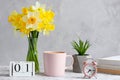 Table with succulent plant, bouquet of daffodils, alarm clock, cup of coffee, calendar with empty space for month and