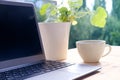 On table in summer garden there is open laptop, computer with blank screen, black display for designer, cup of cappuccino, concept Royalty Free Stock Photo