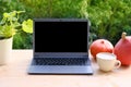 On table in summer garden there is open laptop, computer with blank screen, black display for designer, cup of cappuccino, pumpkin Royalty Free Stock Photo