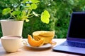 On table in summer garden there is open laptop, computer, cup of cappuccino, melon on plate, concept of downshifter`s workplace,