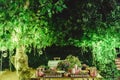 Table with sweet desserts in a garden at night, illuminated by LED lights Royalty Free Stock Photo