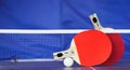 Table tennis Royalty Free Stock Photo