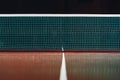 Table tennis blue net with reflection Royalty Free Stock Photo