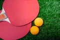 Table tennis rackets and orange balls,Ping-Pong paddles on greensward Royalty Free Stock Photo