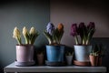 On the table there are three iron multicolored pots with a variety of flowering hyacinths