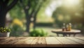 Table Top And Blur Nature of the Background in the Park