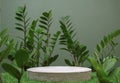 Table top concrete counter podium with tropic forest jungle plant blurred dark green background.natural product present placement Royalty Free Stock Photo