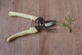 Pruning shear or plant cutter