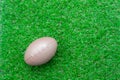 Flat lay object american ball on the artificial green grass