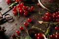 Table top view bunch f eparated red currant berries