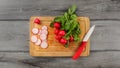 Table top view on old wooden chop board with bunch of bright fresh radish with green leaves, some of them cut in circle pieces wi Royalty Free Stock Photo