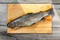 Table top view on raw trout fish on wooden working board, cut, g
