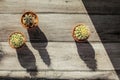 Table top view on three small cactus plants in pot, light by morning sun, casting strong shadow on a gray wood table top. Royalty Free Stock Photo