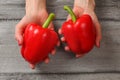 Table top view on young woman hands holding two red bell peppers Royalty Free Stock Photo