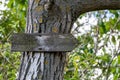 The table on the tree trunk shows the way Royalty Free Stock Photo