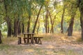 A table and two benches from a rough log house. Recreation area in the forest Royalty Free Stock Photo