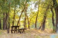 A table and two benches from a rough log house. Recreation area in the forest Royalty Free Stock Photo