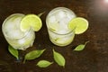 On the table are two glasses of gin and tonic, lime and ice and lime leaves. Cocktail at home, home mixologist.