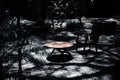 The table under the shadow from the sun Royalty Free Stock Photo