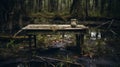 Abandoned Wooden Table In The Enigmatic Swamp