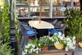 Table with wicker chairs in the backyard terrace. Royalty Free Stock Photo