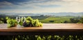 a table with wine and grapes sitting in front of vineyard Royalty Free Stock Photo