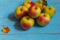 Eight ripe apples lie on a blue table