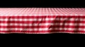Tablecloth picnic gingham background pattern cloth cotton textured red textile white background table