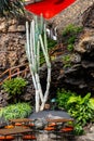 Tables and chairs in volcanic cave in Jameos del Agua, Lanzarote, Canary Islands, Spain Royalty Free Stock Photo