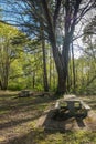 Tables At Dash Point 2