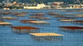 Tables of the oyster beds on the Thau Lake in front of the city of SÃÂ¨te