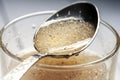 A tablespoon of hydrated psylium husk superfood, source of soluble fiber Royalty Free Stock Photo